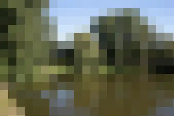 Kamperfoeliestraat 55 Groningen thumbnail 40