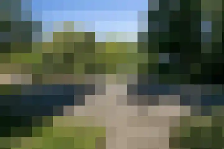Kamperfoeliestraat 55 Groningen thumbnail 41