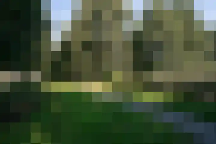 Kamperfoeliestraat 55 Groningen thumbnail 42
