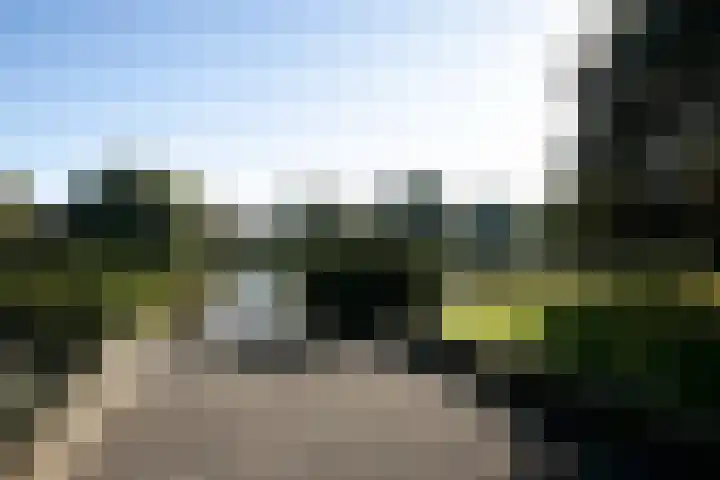 Kamperfoeliestraat 55 Groningen thumbnail 43