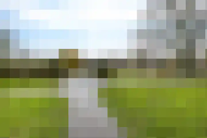 Kamperfoeliestraat 55 Groningen thumbnail 44