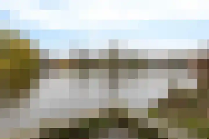 Kamperfoeliestraat 55 Groningen thumbnail 45