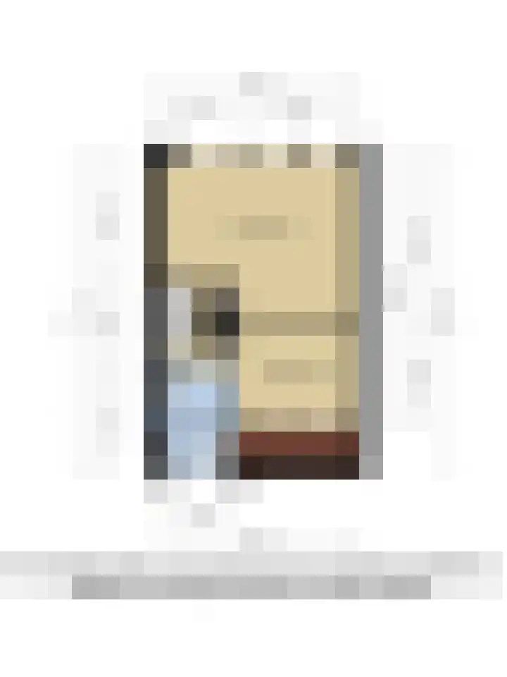 Kamperfoeliestraat 55 Groningen thumbnail 47