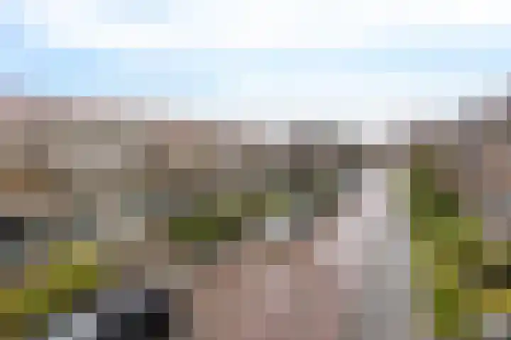 Kamperfoeliestraat 55 Groningen thumbnail 7
