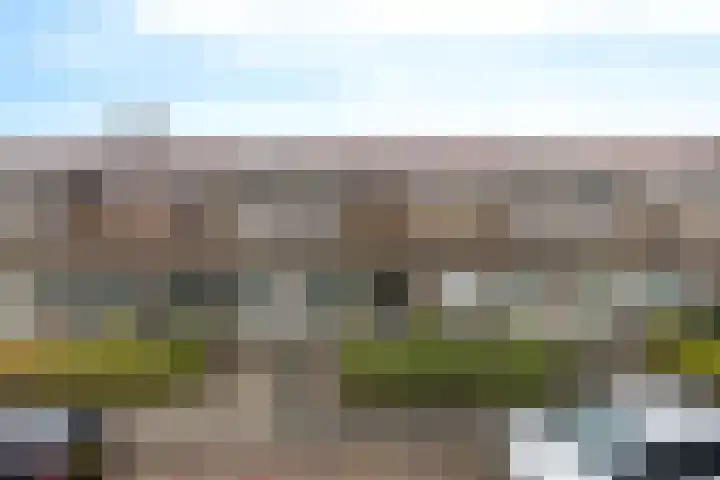 Kamperfoeliestraat 55 Groningen thumbnail 8