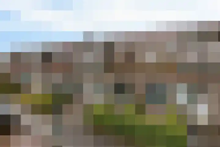 Kamperfoeliestraat 55 Groningen thumbnail 9