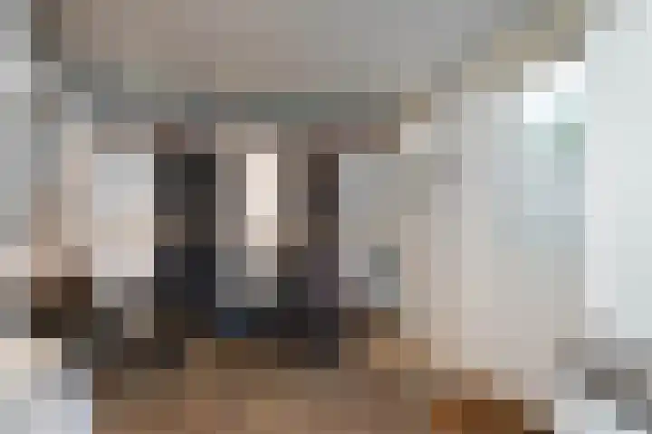 Kamperfoeliestraat 55 Hengelo thumbnail 14
