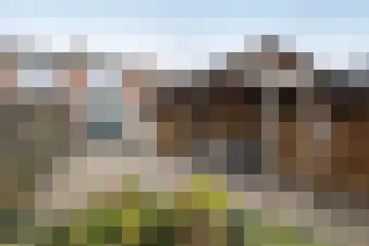 Kamperfoeliestraat 55 Hengelo thumbnail 26