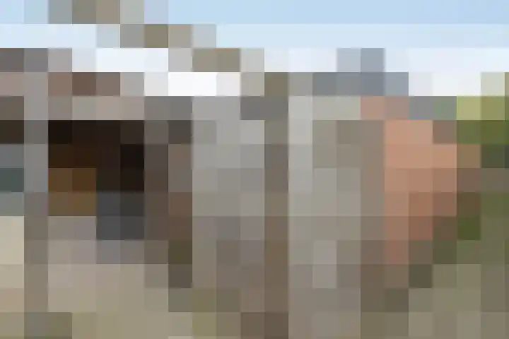 Kamperfoeliestraat 55 Hengelo thumbnail 30