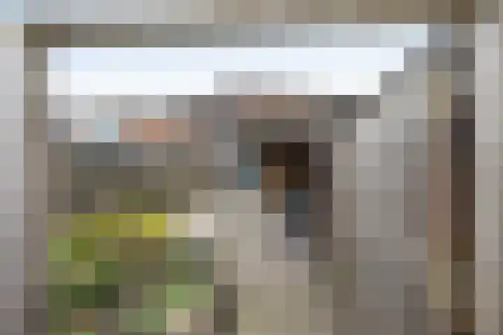 Kamperfoeliestraat 55 Hengelo thumbnail 31