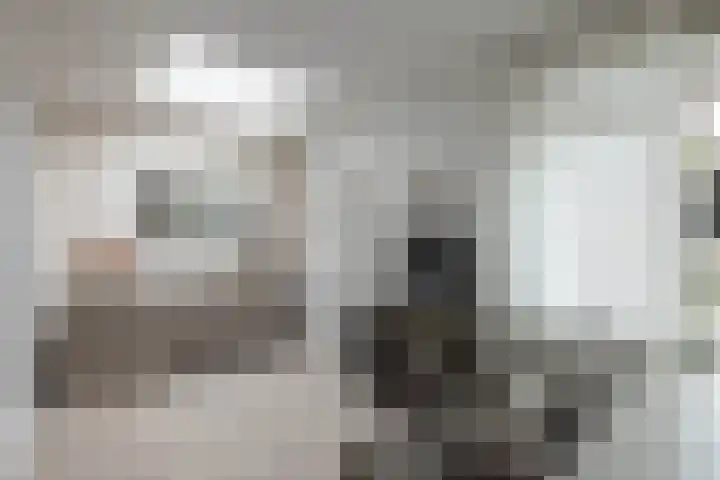 Kamperfoeliestraat 55 Hengelo thumbnail 8