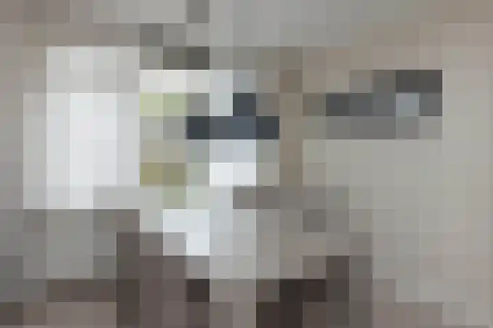 Kamperfoeliestraat 55 Hengelo thumbnail 9