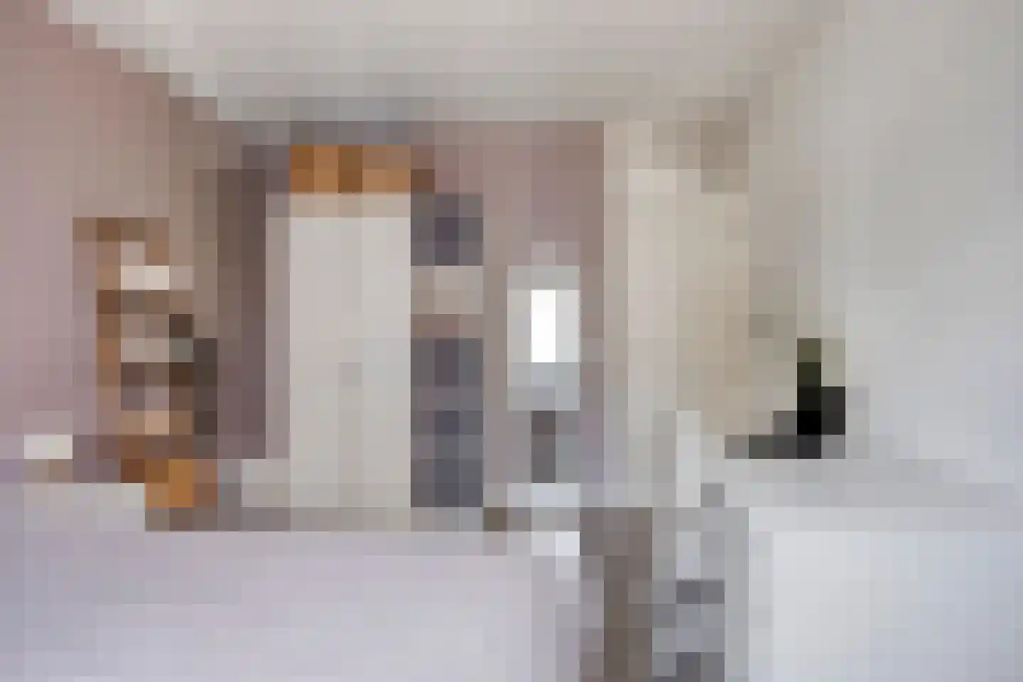 Kamperfoeliestraat 55 Oss thumbnail 17