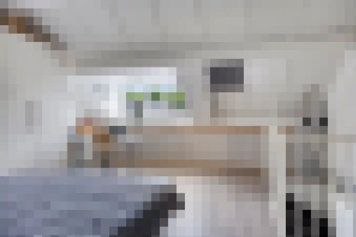 Kamperfoeliestraat 55 Oss thumbnail 25