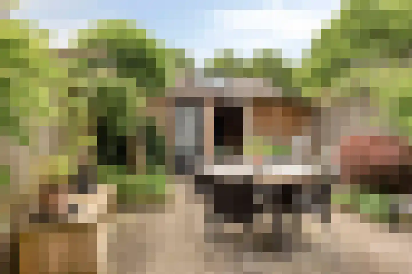 Kamperfoeliestraat 55 Oss thumbnail 27