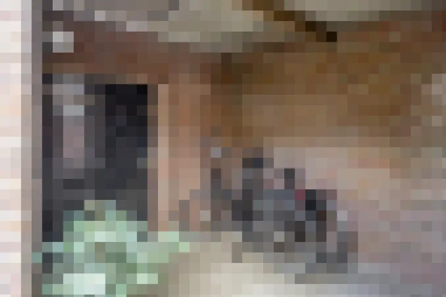Kamperfoeliestraat 55 Oss thumbnail 28