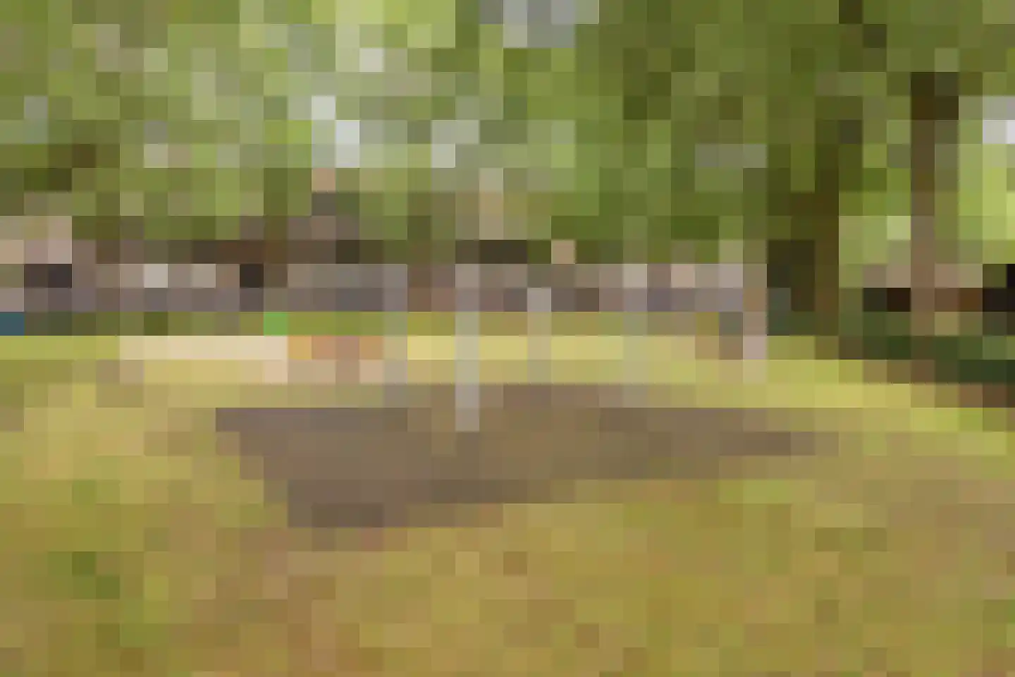 Kamperfoeliestraat 55 Oss thumbnail 28