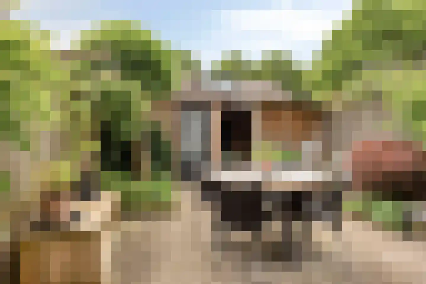 Kamperfoeliestraat 55 Oss thumbnail 4