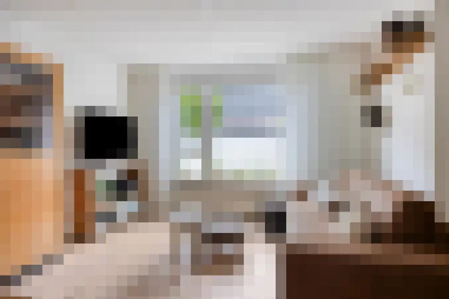Kamperfoeliestraat 55 Oss thumbnail 8
