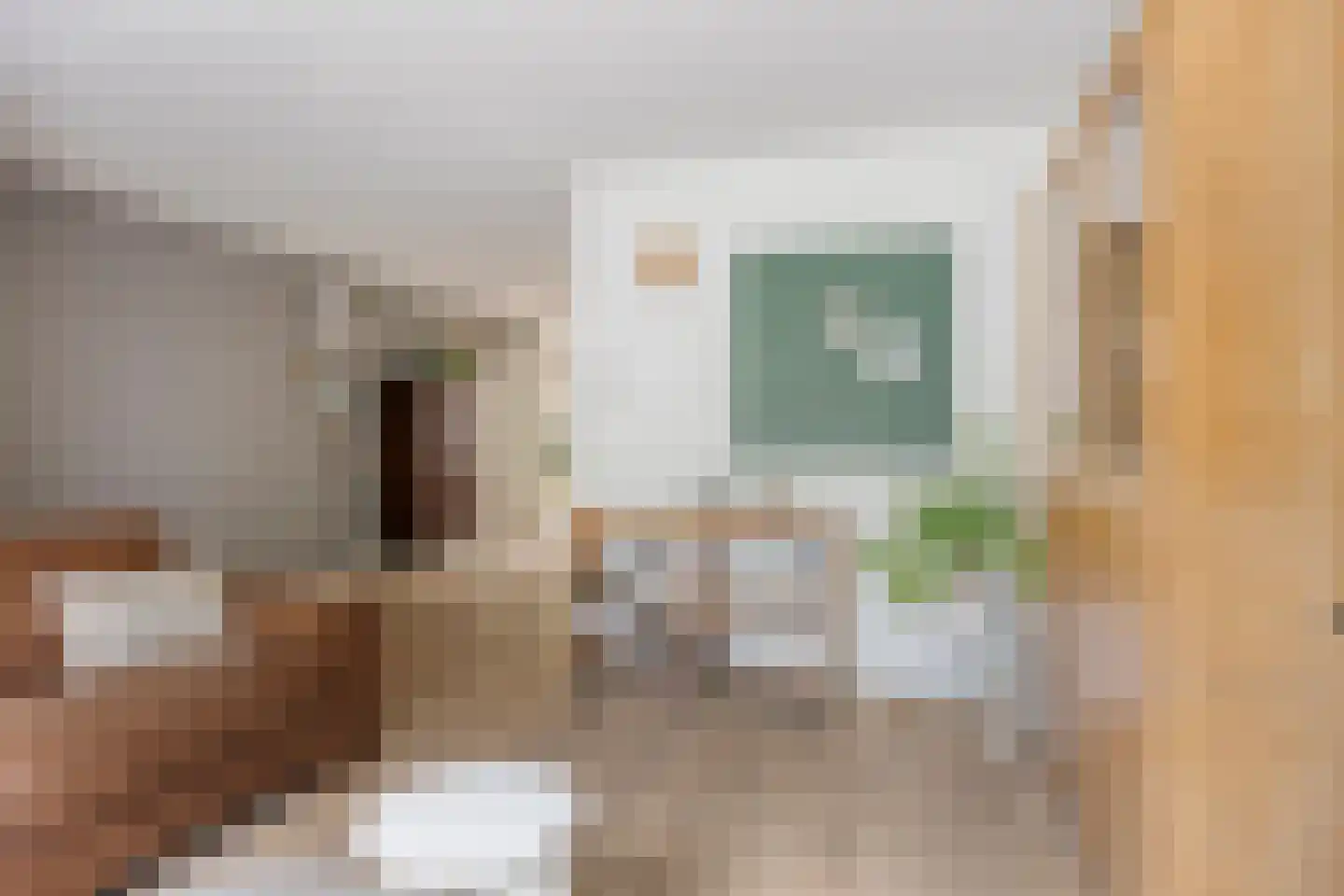 Kamperfoeliestraat 55 Oss thumbnail 9
