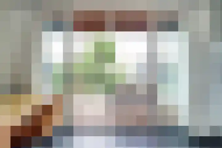 Kamperfoeliestraat 6 B Oss thumbnail 11