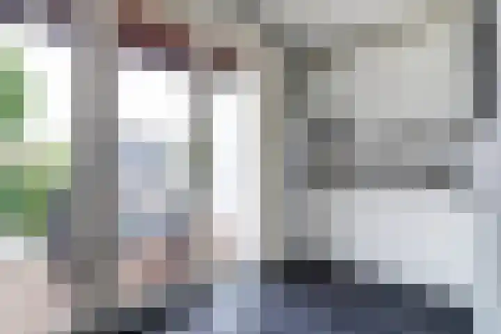 Kamperfoeliestraat 6 B Oss thumbnail 12