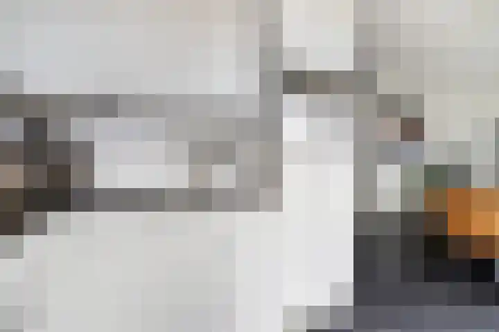 Kamperfoeliestraat 6 B Oss thumbnail 13