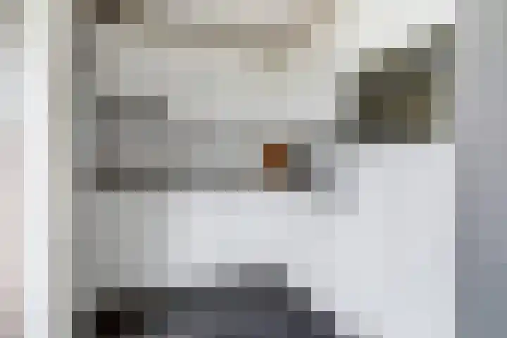 Kamperfoeliestraat 6 B Oss thumbnail 14