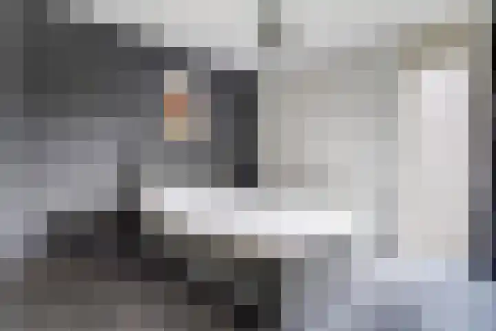 Kamperfoeliestraat 6 B Oss thumbnail 15