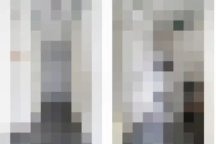 Kamperfoeliestraat 6 B Oss thumbnail 19