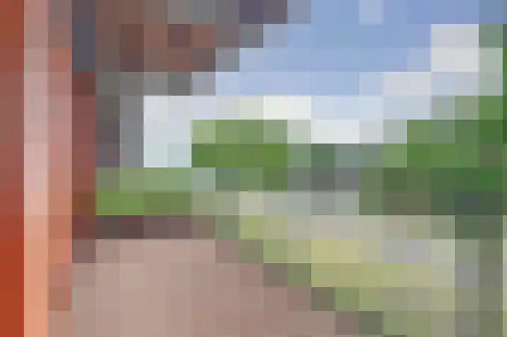 Kamperfoeliestraat 6 B Oss thumbnail 22