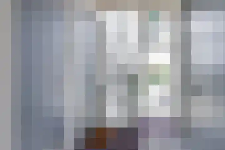 Kamperfoeliestraat 6 B Oss thumbnail 4