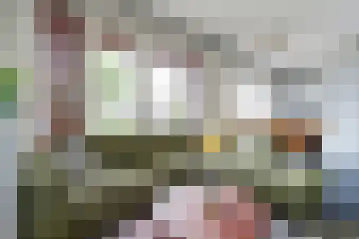Kamperfoeliestraat 6 B Oss thumbnail 5