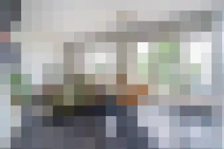 Kamperfoeliestraat 6 B Oss thumbnail 6