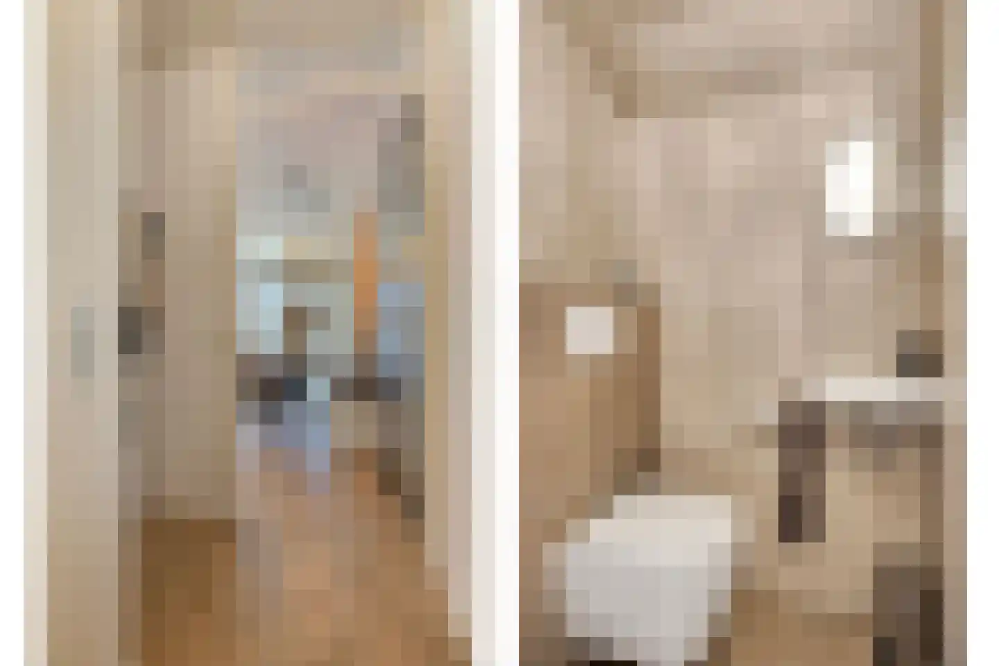 Kamperfoeliestraat 6 C Oss thumbnail 11