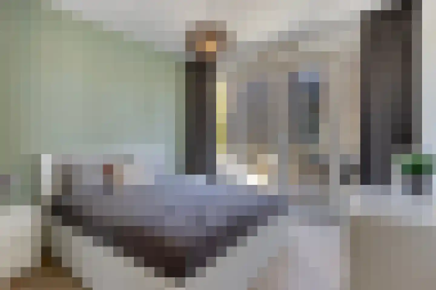 Kamperfoeliestraat 6 C Oss thumbnail 25