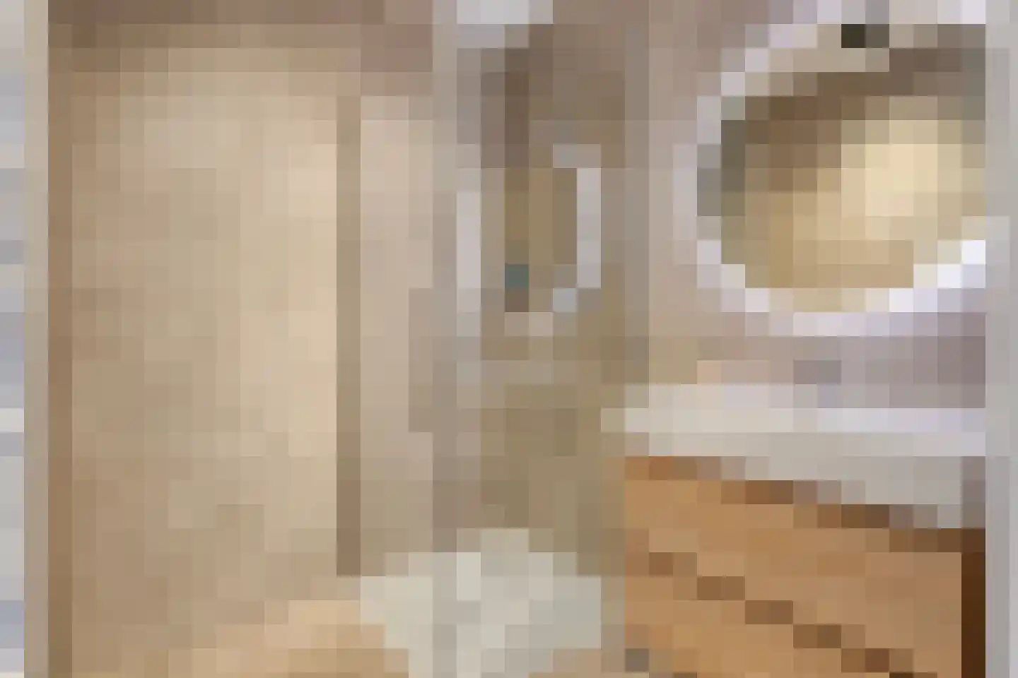Kamperfoeliestraat 6 C Oss thumbnail 27