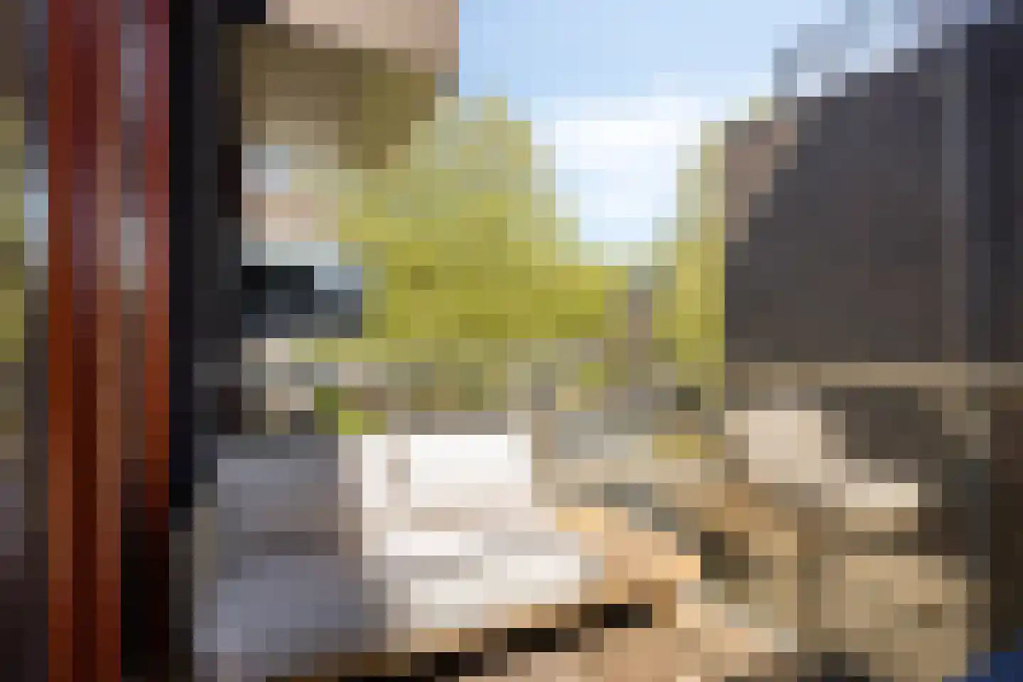 Kamperfoeliestraat 6 C Oss thumbnail 30