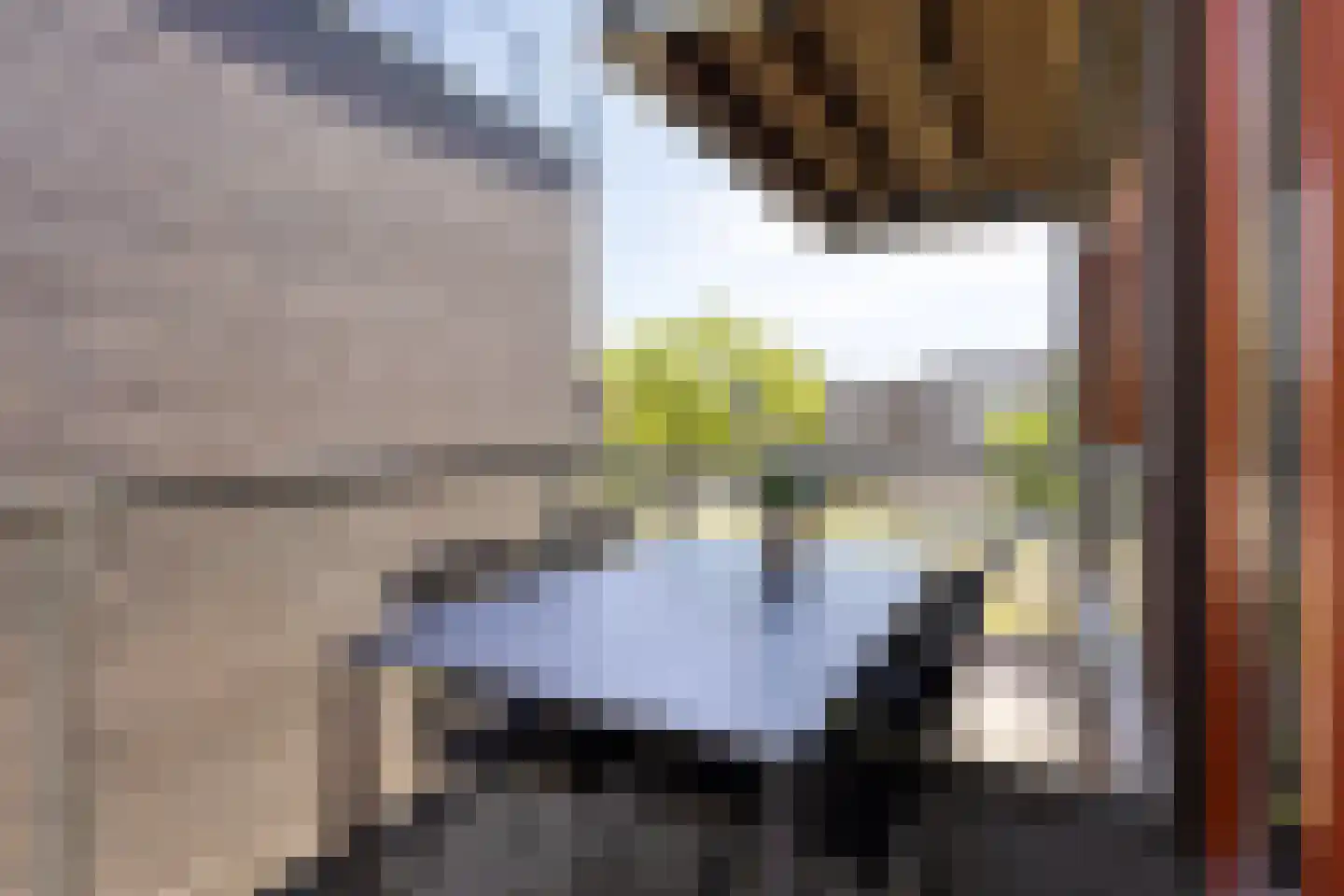 Kamperfoeliestraat 6 C Oss thumbnail 31