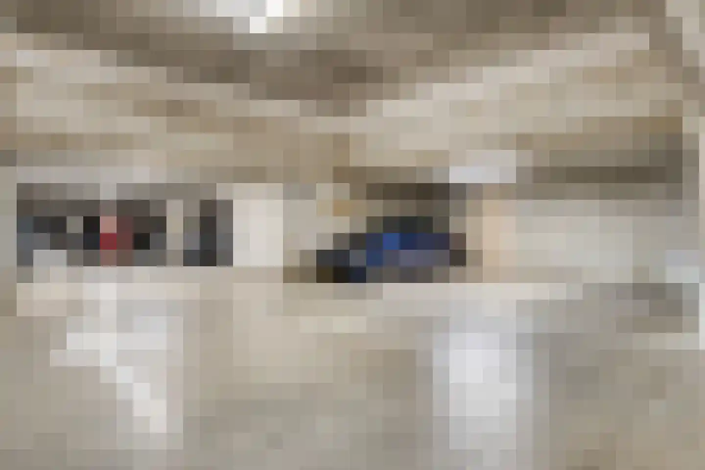 Kamperfoeliestraat 6 C Oss thumbnail 32