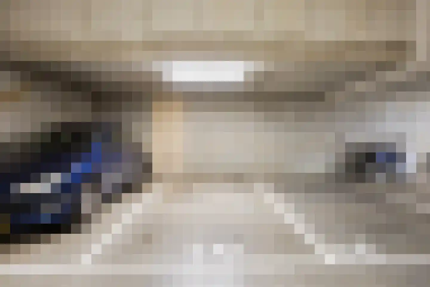 Kamperfoeliestraat 6 C Oss thumbnail 33