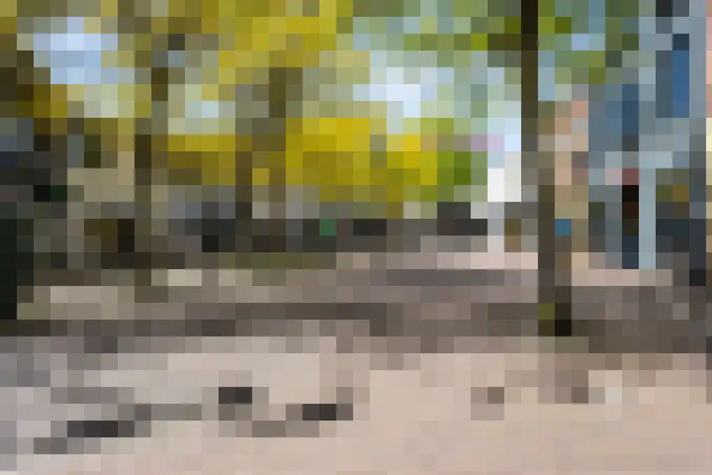 Kamperfoeliestraat 6 C Oss thumbnail 36