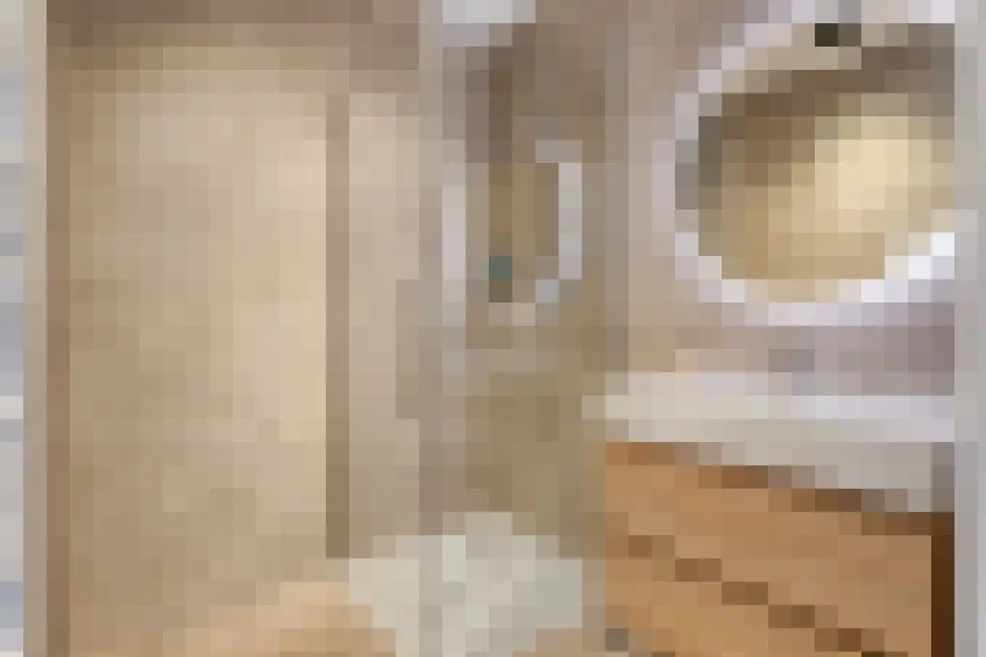 Kamperfoeliestraat 6 C Oss thumbnail 4