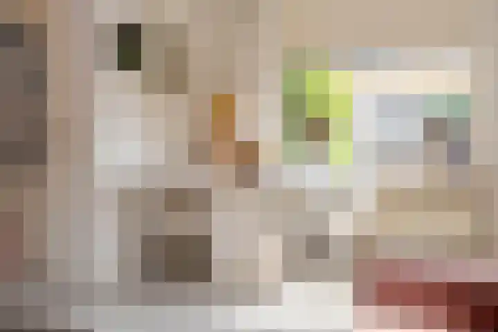 Kamperfoeliestraat 60 Aalsmeer thumbnail 11