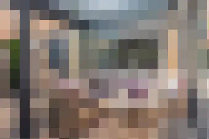 Kamperfoeliestraat 60 Aalsmeer thumbnail 30
