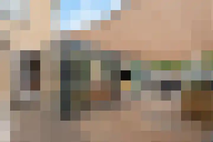 Kamperfoeliestraat 60 Aalsmeer thumbnail 4
