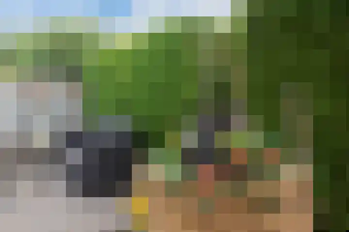 Kamperfoeliestraat 60 Aalsmeer thumbnail 5