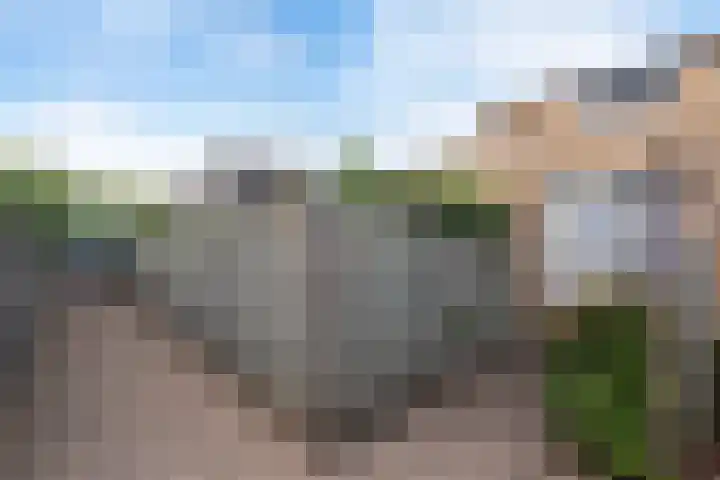 Kamperfoeliestraat 60 Aalsmeer thumbnail 6