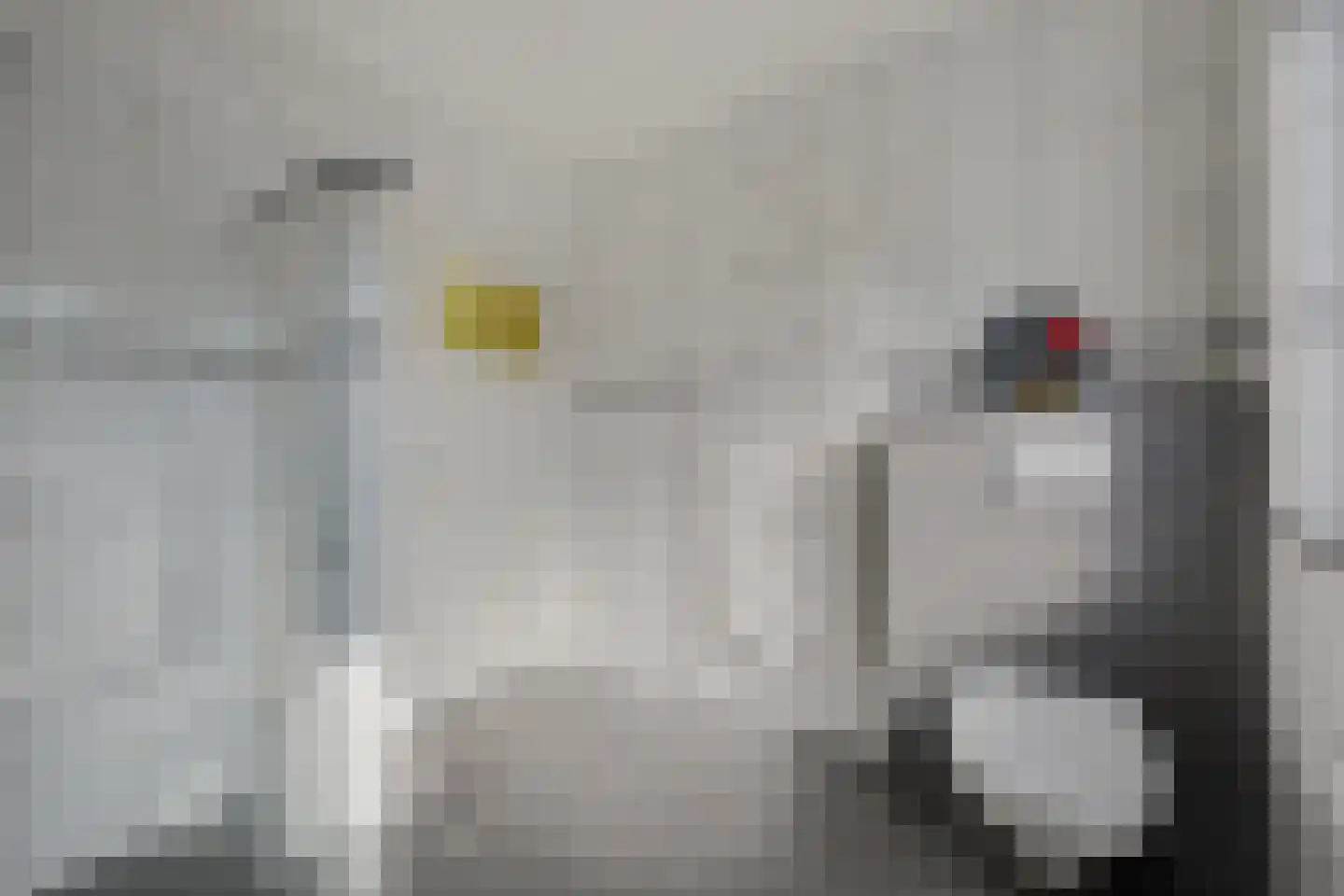 Kamperfoeliestraat 65 Hengelo thumbnail 20