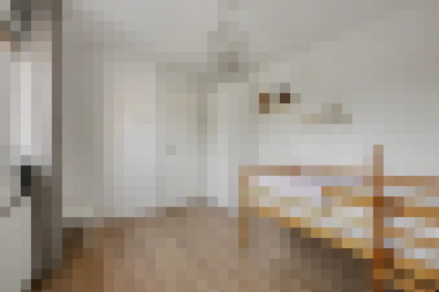 Kamperfoeliestraat 65 Hengelo thumbnail 27